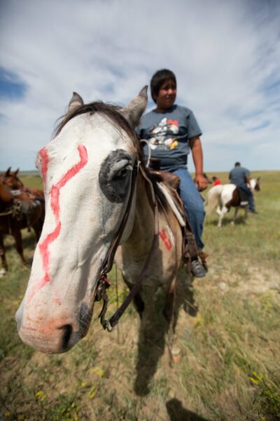 100 Native American Indian Horse Names Cornerstone Equine Academy